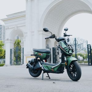 Xe điện TAILG X51